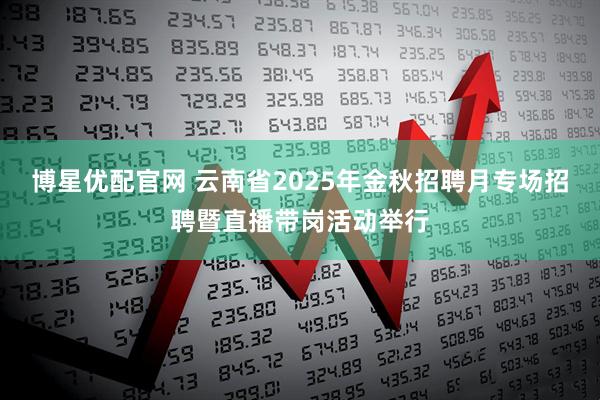 博星优配官网 云南省2025年金秋招聘月专场招聘暨直播带岗活动举行