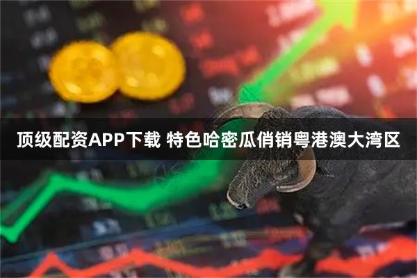 顶级配资APP下载 特色哈密瓜俏销粤港澳大湾区