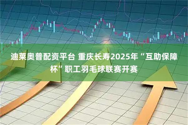 迪莱奥普配资平台 重庆长寿2025年“互助保障杯”职工羽毛球联赛开赛